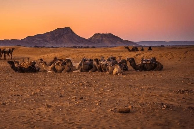 Private Tour to Zagora desert tour in 2 days from Marrakech